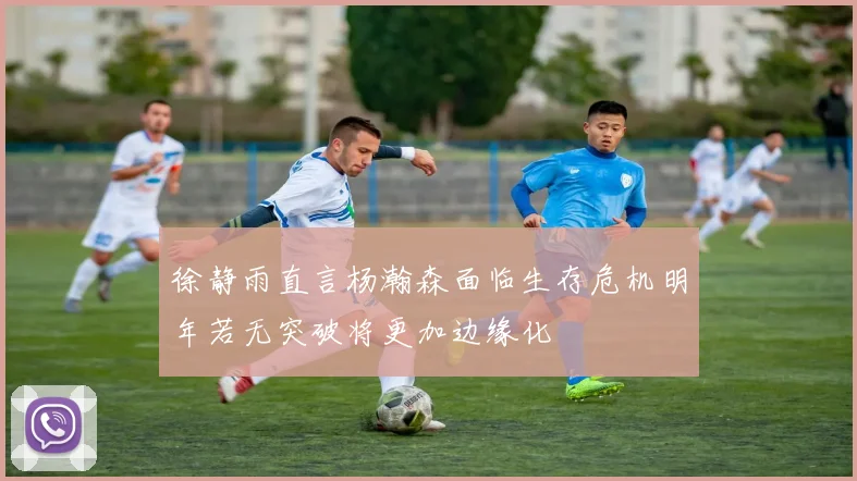 徐静雨直言杨瀚森面临生存危机明年若无突破将更加边缘化